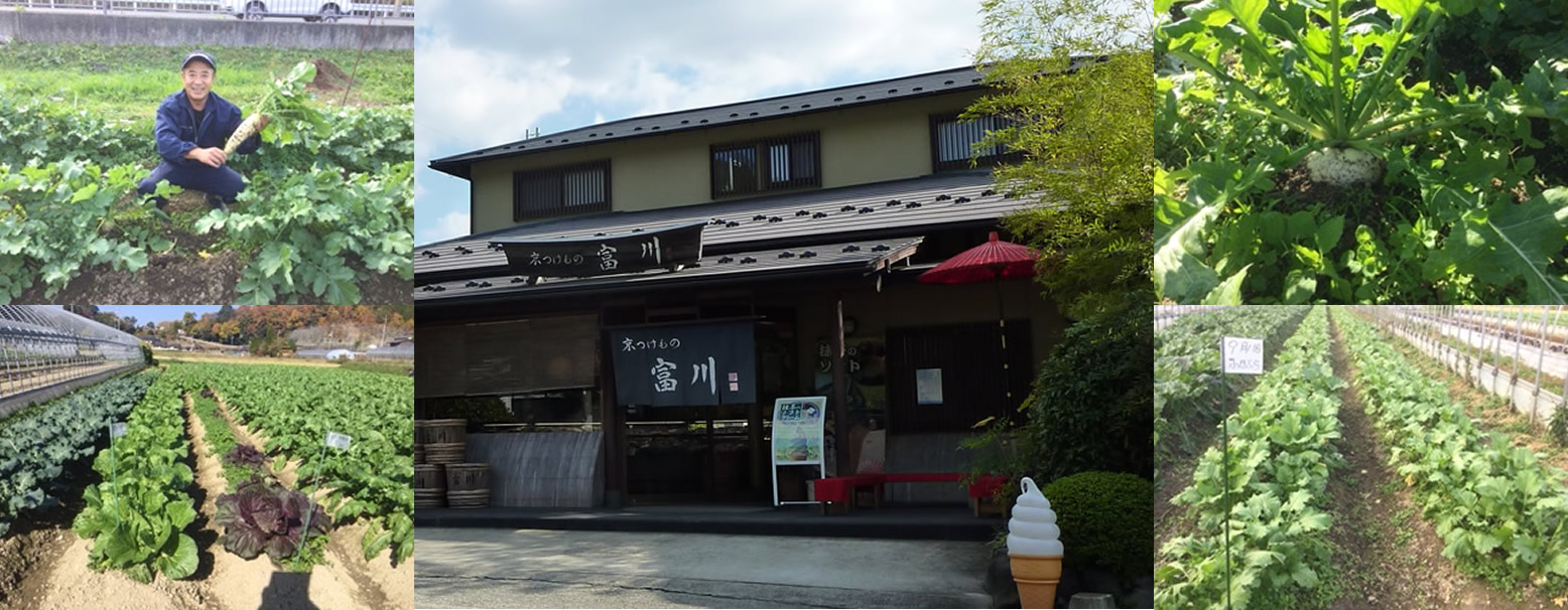 京つけもの富川の野菜